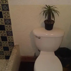 Hostel Mexico Df Airport Стандартный семейный номер фото 10