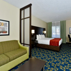 Отель Comfort Inn & Suites near Universal Orlando Resort 2* Стандартный номер с различными типами кроватей фото 10