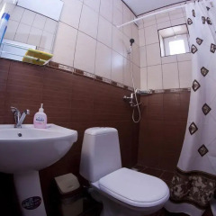 Гостиница Селини Стандартный номер с двуспальной кроватью фото 11