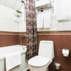 Гостиница Лиготель 3* Стандартный номер с различными типами кроватей фото 23