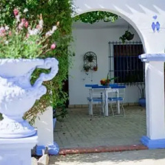 Отель Alojamiento Rural "El Charco del Sultan" Испания, Кониль-де-ла-Фронтера - отзывы, цены и фото номеров - забронировать отель Alojamiento Rural "El Charco del Sultan" онлайн помещение для мероприятий