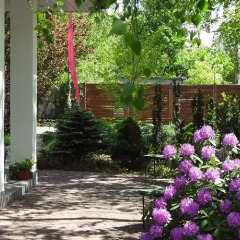 Отель Flora Польша, Лодзь - отзывы, цены и фото номеров - забронировать отель Flora онлайн