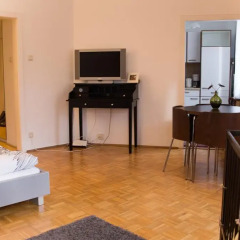 Апартаменты Apartment Vienna - Seilerstättergasse Вена комната для гостей