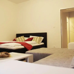Отель Vienna Star Apartments Romergasse Австрия, Вена - отзывы, цены и фото номеров - забронировать отель Vienna Star Apartments Romergasse онлайн комната для гостей фото 2