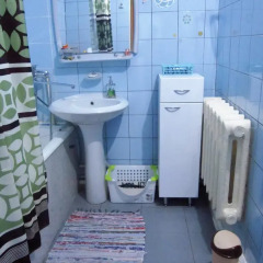 Гостиница Апартамент в Костроме отзывы, цены и фото номеров - забронировать гостиницу Апартамент онлайн Кострома ванная фото 2