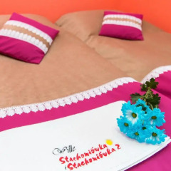 Отель Willa Stachoniówka 2 Закопане с домашними животными