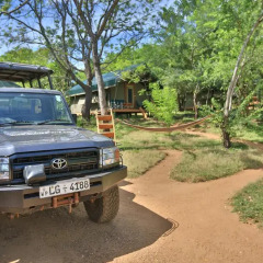 Отель Kulu Safaris Mobile Tented Camping Шри-Ланка, Тиссамахарама - отзывы, цены и фото номеров - забронировать отель Kulu Safaris Mobile Tented Camping онлайн городской автобус
