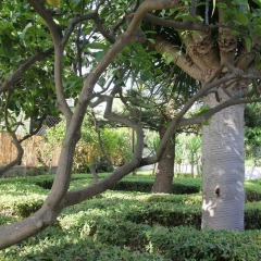 Отель Villa Alfano Поццалло фото 2