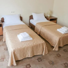 Ligena Econom Hotel 3* Стандартный номер разные типы кроватей фото 5