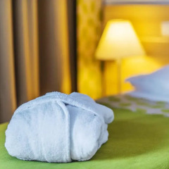 Iris Hotel Eden Прага спортивное сооружение
