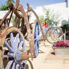 Отель Alojamiento Rural "El Charco del Sultan" Испания, Кониль-де-ла-Фронтера - отзывы, цены и фото номеров - забронировать отель Alojamiento Rural "El Charco del Sultan" онлайн спортивное сооружение