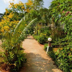 Отель The Krabi Forest Homestay фото 7