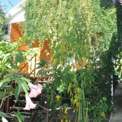 Гостиница Azanta Guest House фото 6