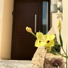 Апартаменты Amazing Napa Apartments интерьер отеля фото 2