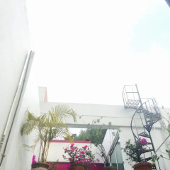 Апартаменты Sunflower Apartment near Coyoacan District Мехико комната для гостей фото 5