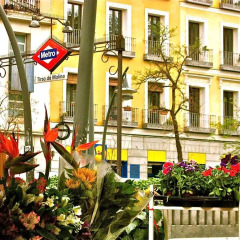 Отель Hostal Tirso Plaza детские мероприятия фото 2