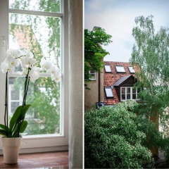 Апартаменты Stone Steps Apartments Студия с различными типами кроватей