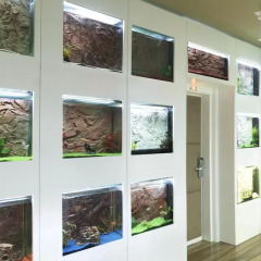 Отель Platinum Royal Suite интерьер отеля фото 2