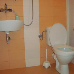 Отель Moskito Guest House Велико Тырново ванная