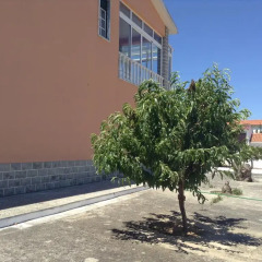 Отель Lapa Guest house пляж