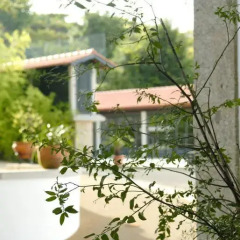Отель Quinta de Malta 3* Стандартный номер 2 отдельные кровати фото 6