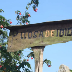 Отель Llosa de Ibio развлечения