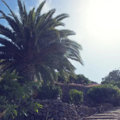 Отель Finca Los Geranios фото 3