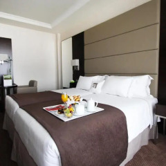 Отель Bessahotel Boavista 4* Представительский номер фото 5