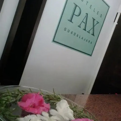 Hotel Pax Guadalajara 4* Стандартный номер с различными типами кроватей фото 7