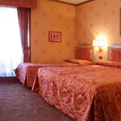 Hotel Venezia 3* Стандартный номер с различными типами кроватей фото 4