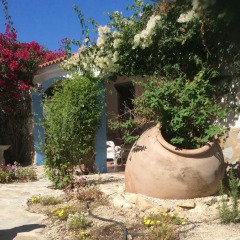 Отель Casa Hermosa Ориуэла фото 3