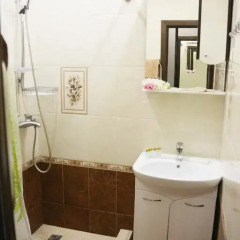 Апартаменты Apartment Svetlana ванная