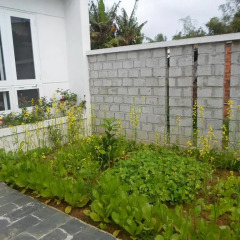 Отель Little House
