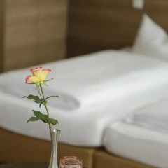 Alexander Business Hotel Hannover City 3* Стандартный номер с различными типами кроватей фото 14