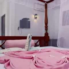 Отель Blue Eyes Inn Стандартный номер с различными типами кроватей фото 17