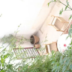 Отель Riad Dar Tarik Марокко, Марракеш - отзывы, цены и фото номеров - забронировать отель Riad Dar Tarik онлайн фото 3