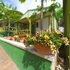 Отель Camping Bungalows El Far питание