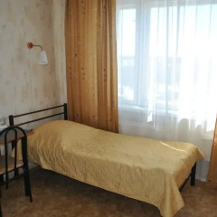 Гостиница Спутник 2* Номер Эконом разные типы кроватей фото 5