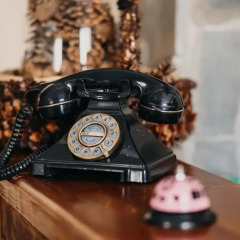 Отель Willa Carpe Diem Косцелиско с домашними животными
