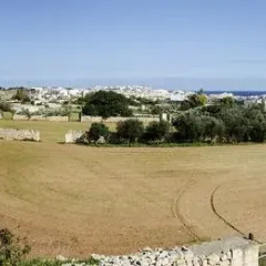 Отель South Olives спортивное сооружение