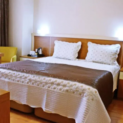 EMSA Palace Hotel Стандартный номер с двуспальной кроватью