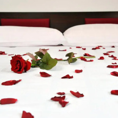 Hotel Krystyna 3* Стандартный номер фото 4