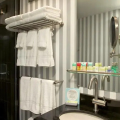 Отель Four Points by Sheraton Manhattan SoHo Village США, Нью-Йорк - отзывы, цены и фото номеров - забронировать отель Four Points by Sheraton Manhattan SoHo Village онлайн ванная
