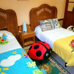 Отель Casa Rosita детские мероприятия