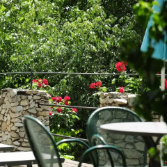 Отель Villa Sasso Меран питание