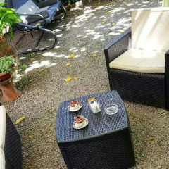Hotel Delle Ortensie Фьюджи фото 4