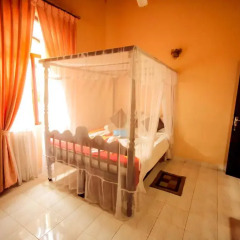 Отель Frangipani Motel 3* Номер категории Эконом фото 2