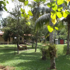 Отель SeethaRama Ayurveda Resort Шри-Ланка, Берувела - отзывы, цены и фото номеров - забронировать отель SeethaRama Ayurveda Resort онлайн фото 4