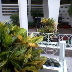 Super Gardens Hotel