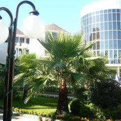 Гостиница Гостиный комплекс Holiday балкон